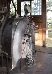 Elk River Mill & Lumber Co. #1, Humboldt State Park