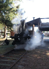 Elk River Mill & Lumber Co. #1, Humboldt State Park