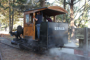 Elk River Mill & Lumber Co. #1, Humboldt State Park