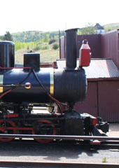Compania de Minerales & Metales SA #1, Cripple Creek