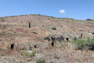 Palisade, Nevada