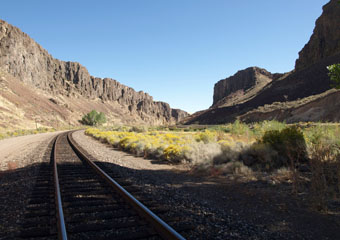Palisade Canyon, Nevada