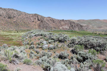 Wreck Site near Harney
