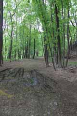 Mauch Chunk Depot, Mauch Chunk Switchback