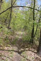 Five Mile Tree, Mauch Chunk Switchback