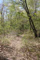 Five Mile Tree, Mauch Chunk Switchback