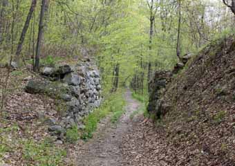 Five Mile Tree, Mauch Chunk Switchback