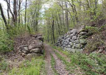 Five Mile Tree, Mauch Chunk Switchback
