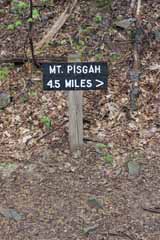 Five Mile Tree, Mauch Chunk Switchback