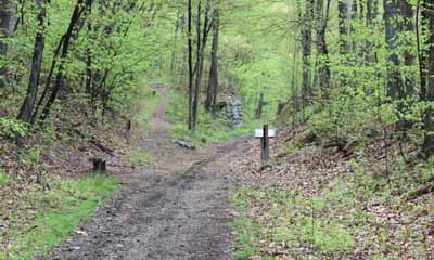Five Mile Tree, Mauch Chunk Switchback