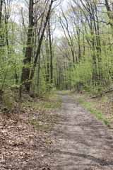 Five Mile Tree, Mauch Chunk Switchback