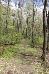 Five Mile Tree - Mt Jefferson, Mauch Chunk Switchback