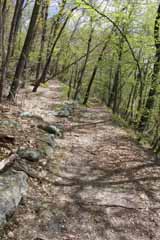 Hacklebernie Tunnel, Mauch Chunk Switchback