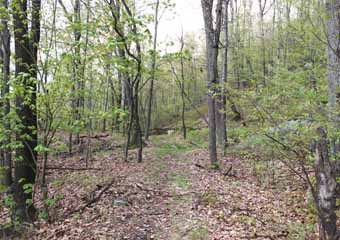 Hacklebernie Tunnel, Mauch Chunk Switchback