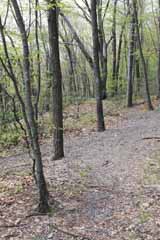 Hacklebernie Tunnel, Mauch Chunk Switchback