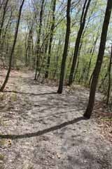 Hacklebernie Tunnel, Mauch Chunk Switchback