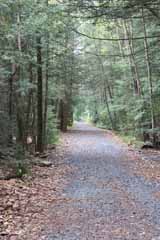 Home Stretch, Mauch Chunk Switchback