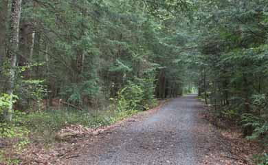 Home Stretch, Mauch Chunk Switchback