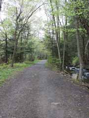 Home Stretch, Mauch Chunk Switchback