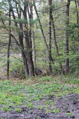 Two Mile Turn - Mauch Chunk, Mauch Chunk Switchback
