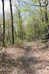 Hacklebernie Tunnel - Five Mile Tree, Mauch Chunk Switchback