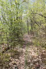 Hacklebernie Tunnel - Five Mile Tree, Mauch Chunk Switchback