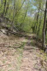 Hacklebernie Tunnel - Five Mile Tree, Mauch Chunk Switchback