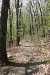Hacklebernie Tunnel - Five Mile Tree, Mauch Chunk Switchback