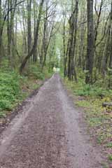 Lentz Trail - Home Stretch, Mauch Chunk Switchback