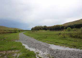 Lentz Trail - Home Stretch, Mauch Chunk Switchback