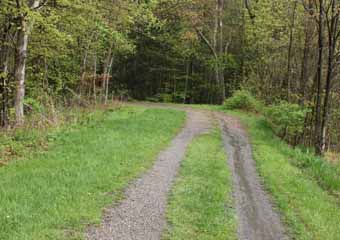 Lentz Trail - Home Stretch, Mauch Chunk Switchback