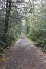 Lentz Trail - Home Stretch, Mauch Chunk Switchback