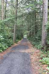 Lentz Trail - Home Stretch, Mauch Chunk Switchback