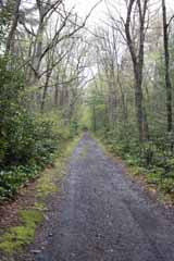 Lentz Trail - Home Stretch, Mauch Chunk Switchback
