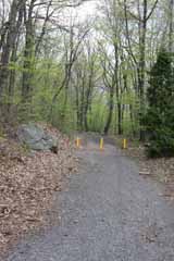 Mt Jefferson Crossover - Five Mile Tree, Mauch Chunk Switchback