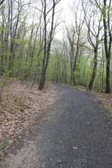 Mt Jefferson Crossover - Five Mile Tree, Mauch Chunk Switchback