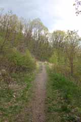 Mt Jefferson Crossover - Five Mile Tree, Mauch Chunk Switchback