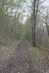 Mt Jefferson Crossover - Five Mile Tree, Mauch Chunk Switchback