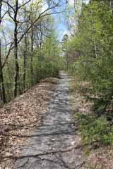 Mt Pisgah - Hacklebernie Tunnel, Mauch Chunk Switchback