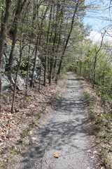 Mt Pisgah - Hacklebernie Tunnel, Mauch Chunk Switchback