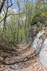 Mt Pisgah - Hacklebernie Tunnel, Mauch Chunk Switchback