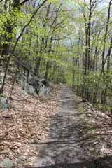 Mt Pisgah - Hacklebernie Tunnel, Mauch Chunk Switchback