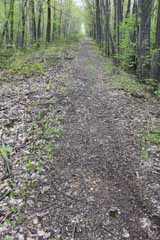 Mt Jefferson Plane, Mauch Chunk Switchback