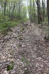 Mt Jefferson Plane, Mauch Chunk Switchback
