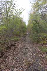 Mt Jefferson Plane, Mauch Chunk Switchback