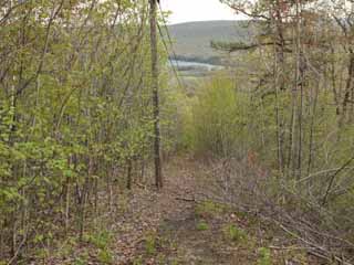 Mt Jefferson Plane, Mauch Chunk Switchback