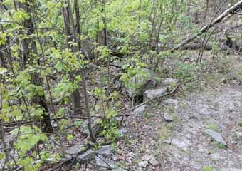 Mt Jefferson Plane, Mauch Chunk Switchback