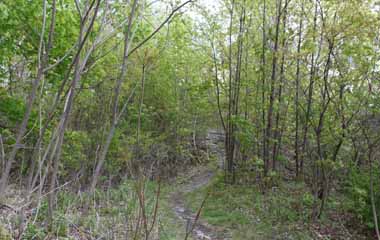 Mt Jefferson Engine House, Mauch Chunk Switchback