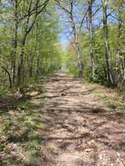Mt Pisgah, Mauch Chunk Switchback