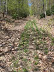 Mt Pisgah, Mauch Chunk Switchback